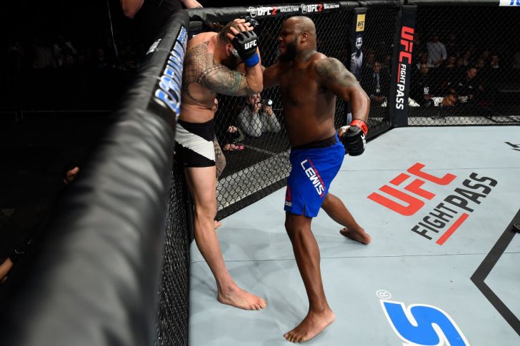 Ufcファイトナイト ハリファックス デリック ルイス Vs トラヴィス ブラウン Ufc Japan